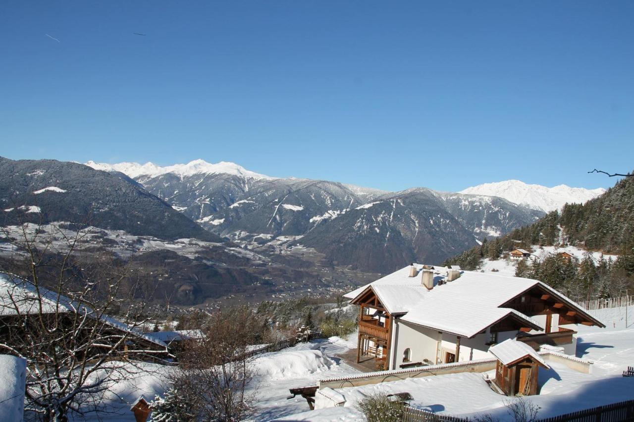 Eichernhof Apartment Marillenbluete Verano エクステリア 写真